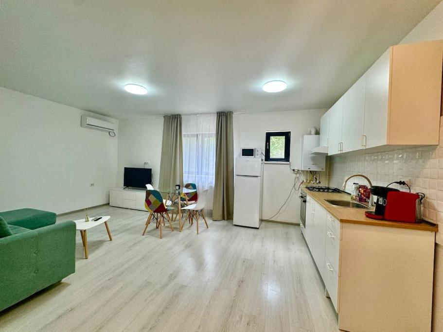 Otopeni Studio C1 1 Airport Therme Zewnętrze zdjęcie